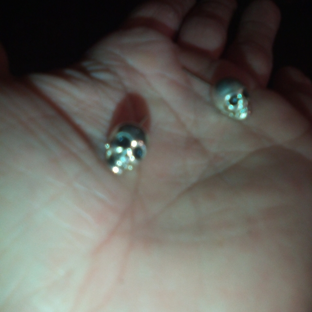Silver Skull Earrings